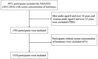 Association between 25-hydroxyvitamin D concentrations and pubertal timing: 6–14-year-old children and adolescents in the NHANES 2015–2016